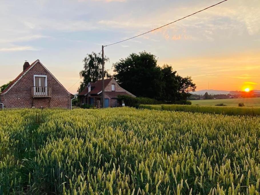 Cottage Chaleureux Au Coeur Des Monts De Flandres Saint-Jans-Cappel Kültér fotó
